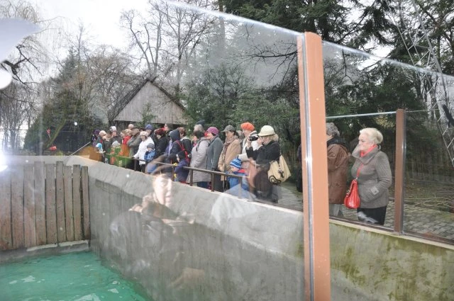 Słuchacze UTW podczas wycieczki do krakowskiego ZOO