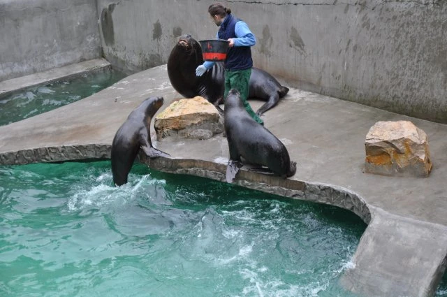 Słuchacze UTW podczas wycieczki do krakowskiego ZOO